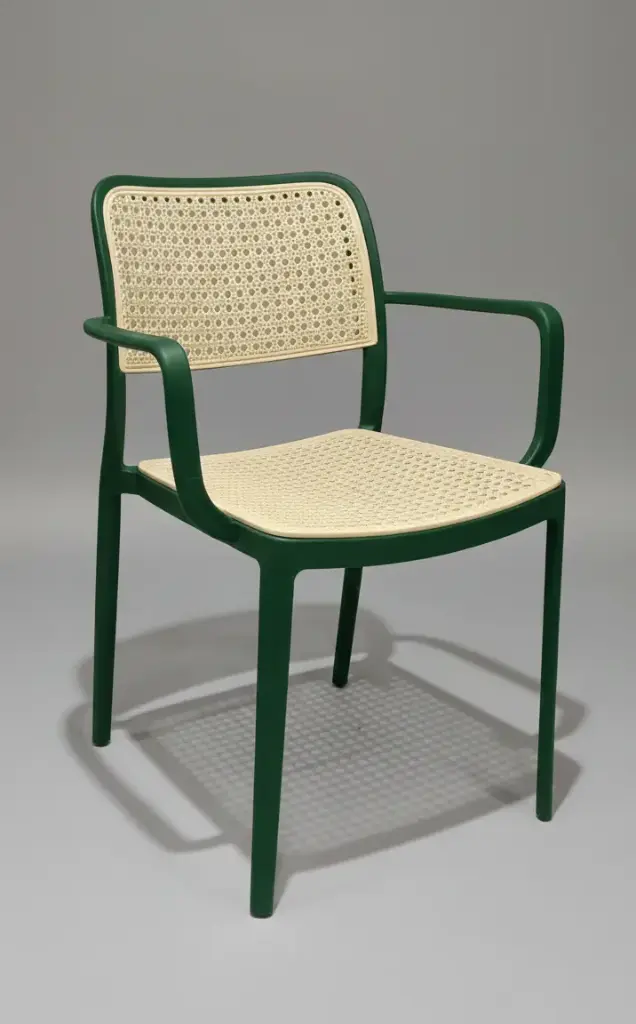 Binny Chair with Arm rest